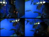 OceanFun2